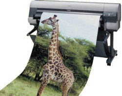 Print Master - Belleville - Large Format  Printing